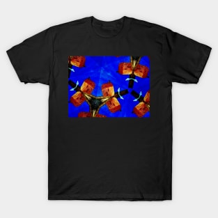 The Man & The House! T-Shirt